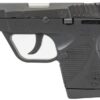 Taurus PT-738 380 ACP Carry Conceal Pistol with Rear Slide Wings